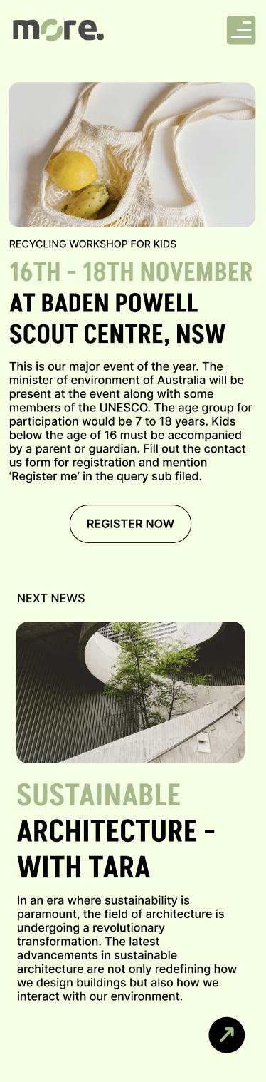 Article Page of More Website